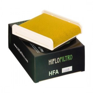 Filtr powietrza HIFLOFILTRO HFA2503